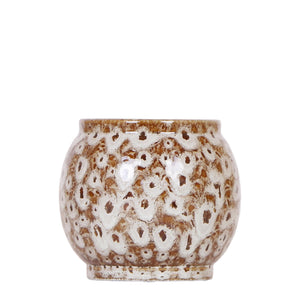 Safari Pot - Elegant Ceramic for Plants