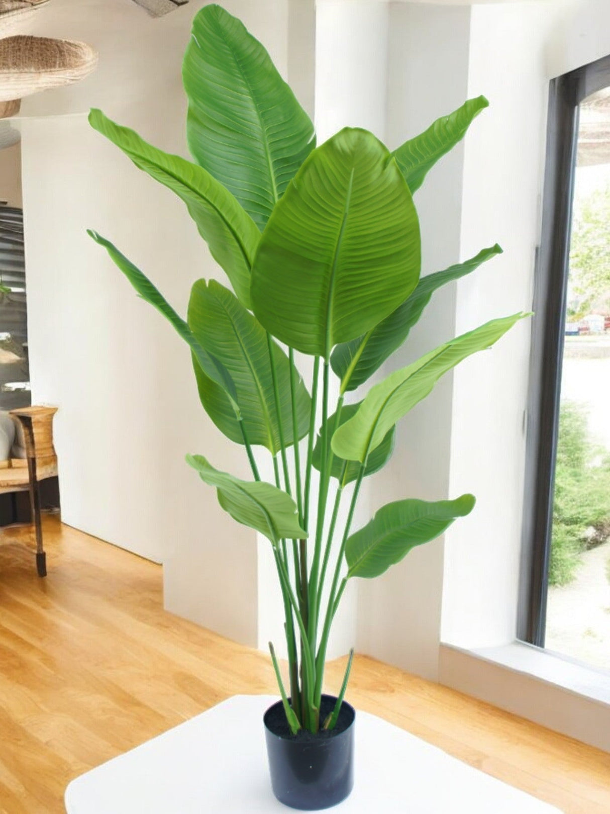 Livraison plante Strelitzia - grande plante artificielle