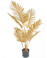 Golden areca - Crann pailme saorga