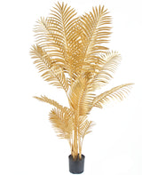 Golden Areca - Palm Saorga