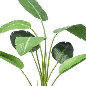 Strelitzia en Pot plante artificielle