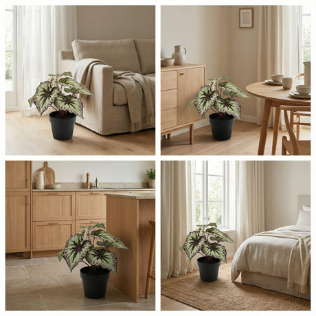 Begonia plante artificielle h26cm