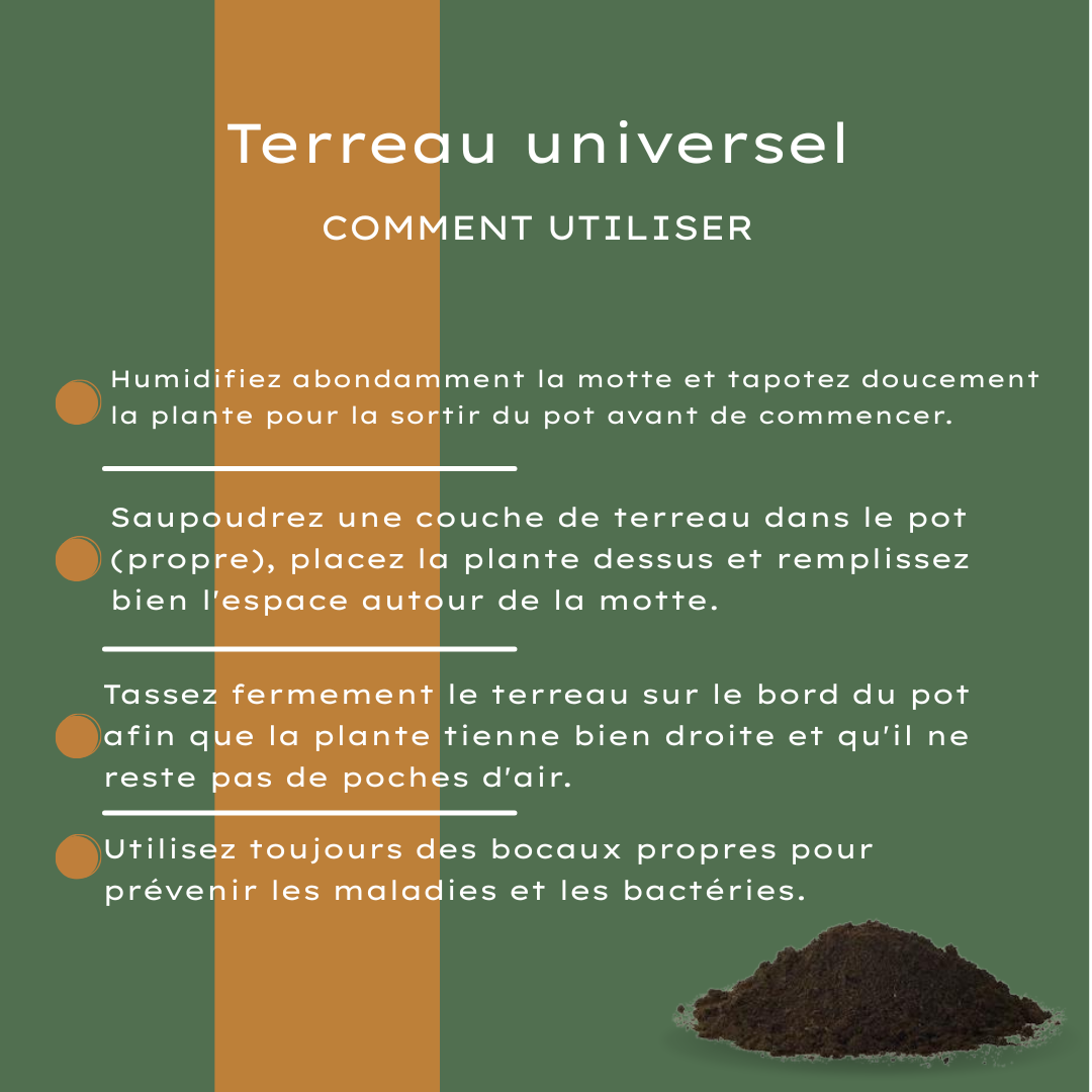 Buy Universal Potting Soil 30 Liter – For Indoor and Outdoor Plants