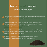 Buy Universal Potting Soil 30 Liter – For Indoor and Outdoor Plants