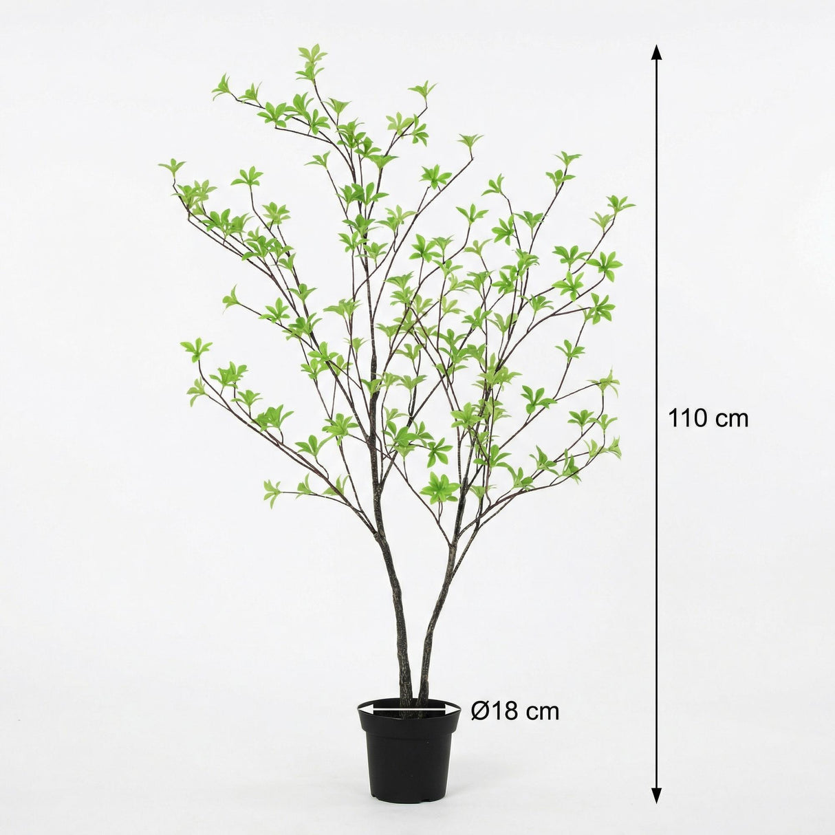 Tropaeolum plante artificielle