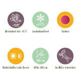 Green boutiQ - Terrasplant - Japanse Esdoorn - Acer palmatum Iyoshi - Roze - 2 Planten - Bladverliezend - Pot 19cm Hoogte 70cm