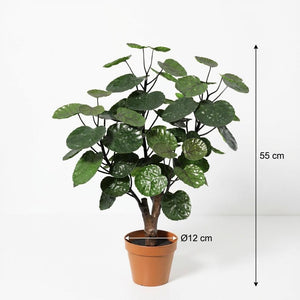 Polyscias Fabian plante artificielle