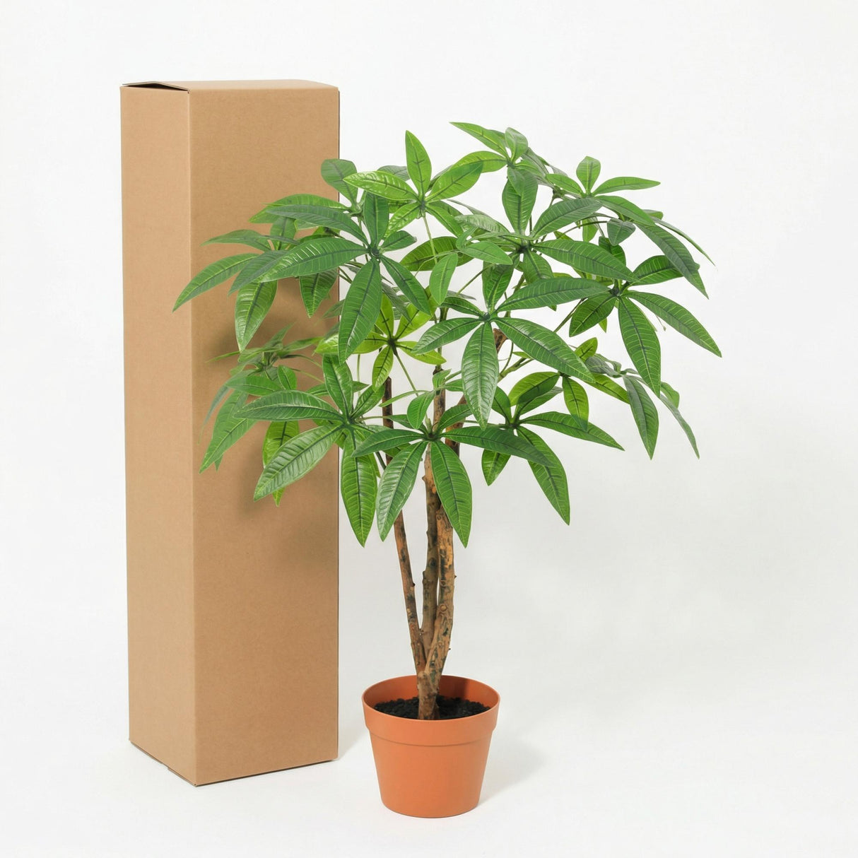 Pachira Aquatica plante artificielle
