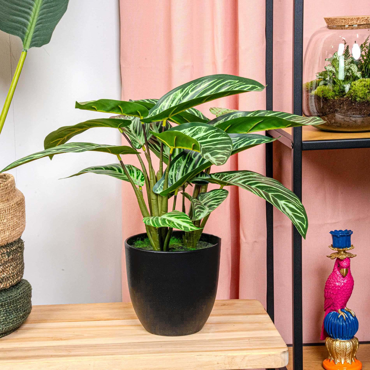 Calathea Et Pot plante artificielle
