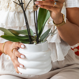 Coffret orchidée blanche Mineral Gibraltar et 2 succulentes - cache-pots Bubble, support et plateau - H 40 cm