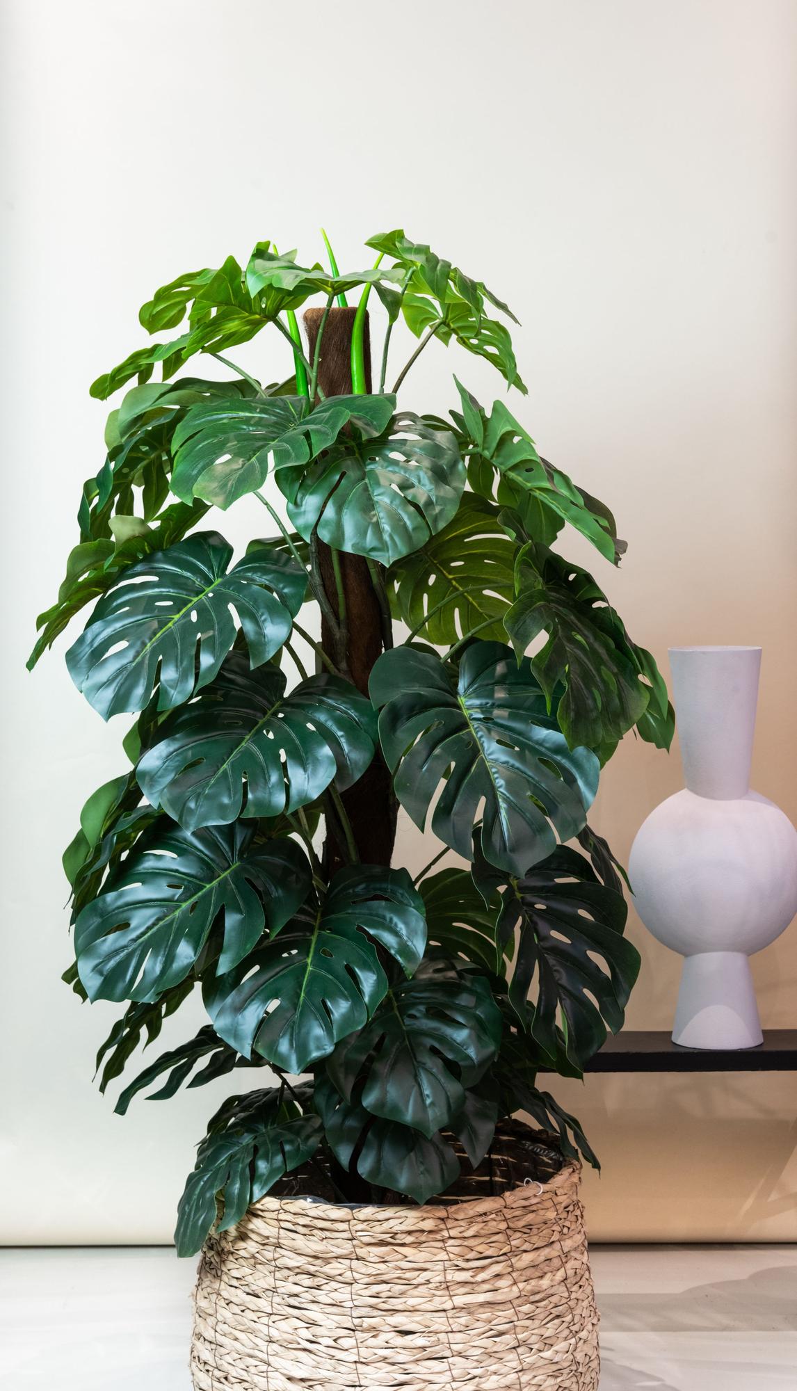 Monstera Deliciosa plante artificielle
