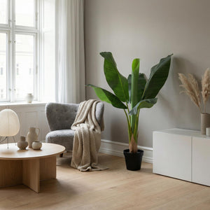 Bananier Musa plante artificielle