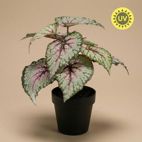 Begonia plante artificielle h26cm pot inclus
