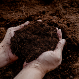 Buy Universal Potting Soil 30 Liter – For Indoor and Outdoor Plants