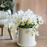Orchidée Phalaenopsis blanche Botanic Nazaré avec cache-pot Melody crème - H 30 cm, pot Ø9 cm