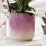 Orchidée Phalaenopsis rose-violet Mineral Vienna - cache-pot Gradience lilas et boîte cadeau - pot Ø9 cm