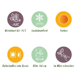 Green boutiQ - Terrasplant - Japanse Esdoorn - Acer palmatum Orange Dream - Oranje - 1 Plant - Bladverliezend - Pot 19cm Hoogte 70cm