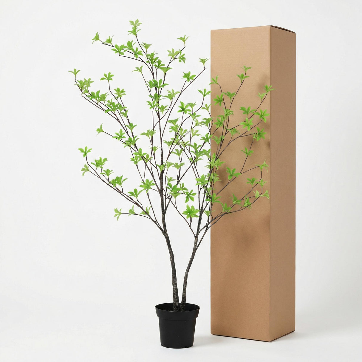 Tropaeolum plante artificielle