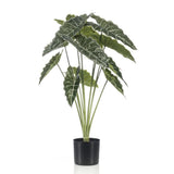 Alocasia artificiel h80cm