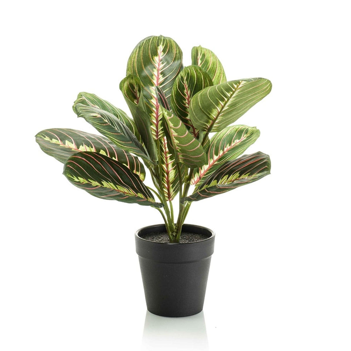 Maranta en Pot plante artificielle