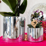 Set orchidée Vienna violette et succulente - cache-pots Disco - H 35 cm, pot Ø9 cm