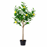 Citronnier artificiel - H 150 cm