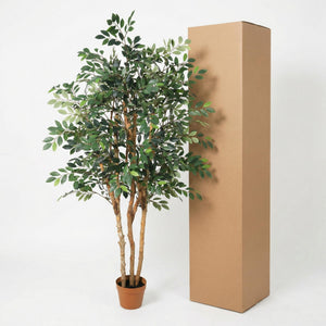 Ficus Exotica plante artificielle