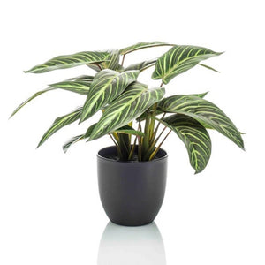 Calathea Et Pot plante artificielle