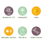 Green boutiQ - Terrasplant - Japanse Esdoorn - Acer palmatum Summergold - Geel - 2 Planten - Bladverliezend - Pot 19cm Hoogte 70cm