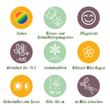 Green boutiQ - Borderpakket - Kleur Wit - 24 Vaste planten - 3 m2 - Diversen kleuren - Weinig Onderhoud - Pot 11cm
