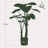 Alocasia artificiel h110cm