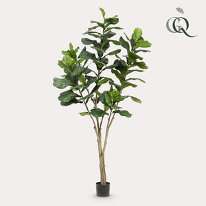 Kunstplant - Ficus Lyrata - Tabaksplant - 210 cm