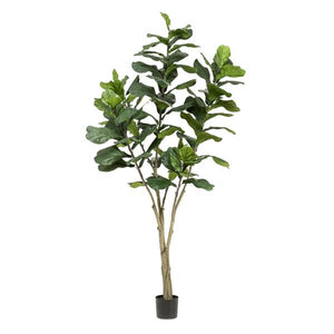 Kunstplant - Ficus Lyrata - Tabaksplant - 210 cm