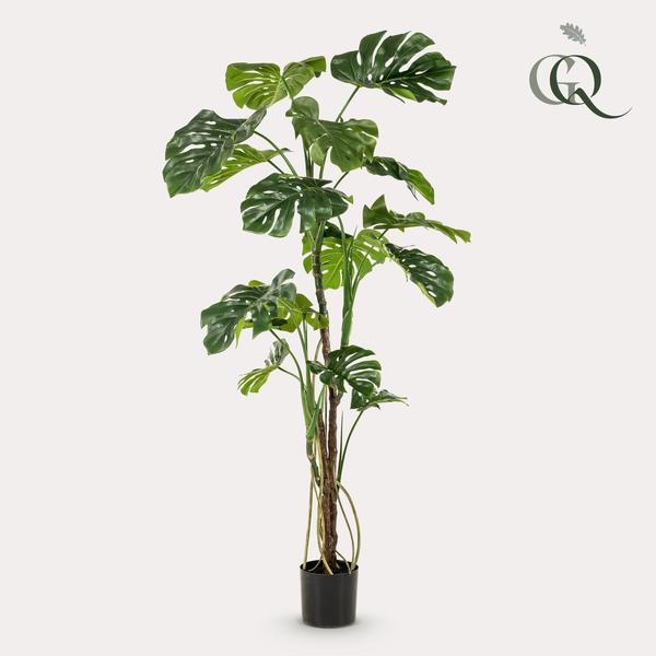 Monstera artificiel h180cm