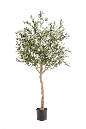 Kunst Olijfboom - Olea europaea - Olijfboom - 180 cm